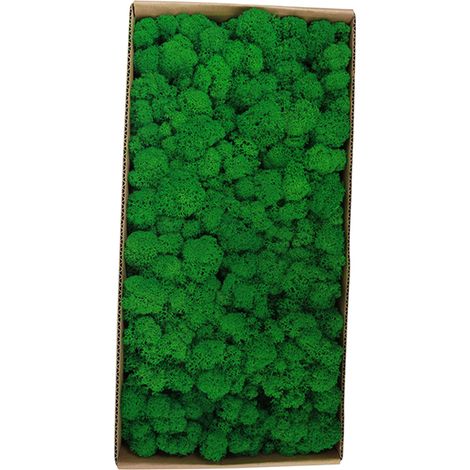 Mousse préservée, décoration murale d'art de jardinage, accessoires décoratifs de Micro paysage en vrac (1/4)