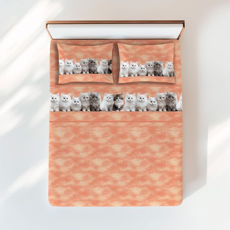 Completo Lenzuola Gattini Salmone - Stampa Dolce e Realistica - 100% Cotone - Made in Italy, Lavabile 1 PIAZZA (1/5)