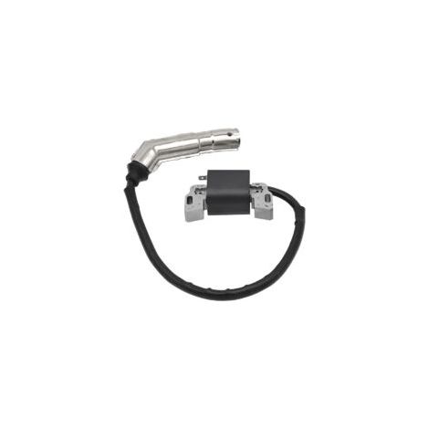 Bobine d'allumage et rotor magnéto-électrique de remplacement pour moteur Briggs & Stratton 592841 799650 595304 795315 21A807 21A877 21A902 21A907 21A907 21A907