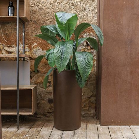 HORTENSIA 40 High Macetero Redondo y Alto de Interior y Exterior Para Plantas y Flores Muy Resistente al Paso del Tiempo. Hecho de Polietileno en España - Bronce