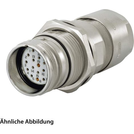 HUMMEL SET inkl. Kontakte M23 Signal Wanddurchführung Kupplung, Löteinsatz gerade Polzahl 19-pol., Buchse mit Gegenmutter Hinterwand, Kabelabgang gerade, Klemmbereich 3,0mm - 7,0mm - 1 Stück
