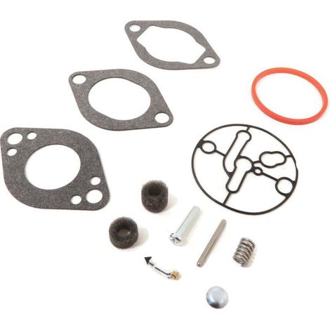 S-giant Kit de réparation de carburateur compatible avec Briggs & Stratton 20A400  696146  696147. (1/5)