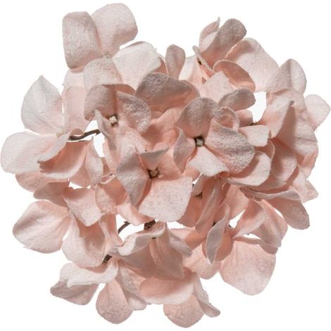 ARPIMEX Pick Natale Ortensia Innevata Pvc 21 Cm Cipria