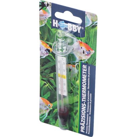 Hobby Präzisions-Thermometer