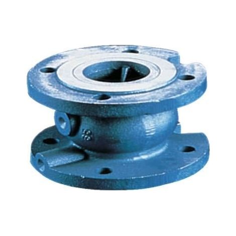 Clapet anti-retour à brides type 402 DN50