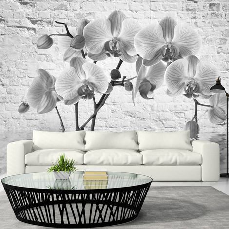Fotomurale - Orchid in Shades of Gray - 300x210 (1/4)