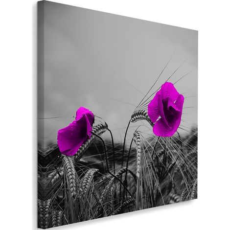 Tableau sur toile Coquelicots en mauve 40x40 (1/5)