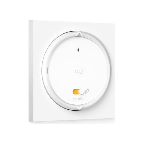 Télécommande Somfy Amy RS100 io 1871101