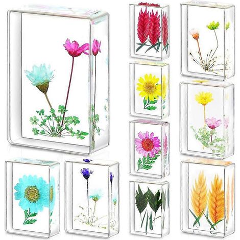 Blumenmodell aus Harz, Set mit 10 Harz-Briefbeschwerern, ideal für Kinder (wissenschaftliche und pädagogische Präsentation). (1/5)