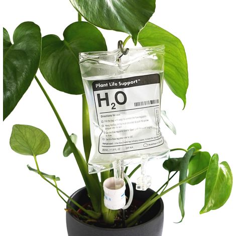 Sistema di irrigazione automatico per piante da interno – per gli appassionati di giardinaggio (1/5)
