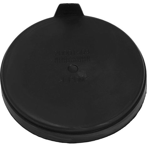 Cache-poussière de phare 6203E4, remplacement pour Peugeot 308CC (2008–2013) (1/5)