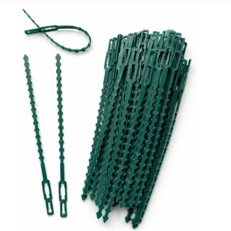 50 attaches réglables pour plantes (23 cm) – Réutilisables, idéales pour les plantes et les potagers – Attaches vertes pour tuteurs. (1/3)