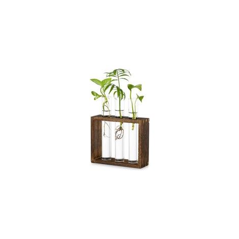 Tabletop Hanging Glass Planter - Modern Propagation Station (1/5)