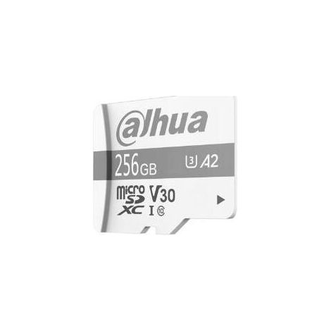 Tarjeta Memoria Micro Sd Dahua P100 256Gb Surveillance - Cla