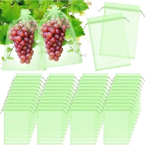 Sacs de protection - Pack de 100 - 40 x 30 cm - Organza - Protection des raisins (1/4)