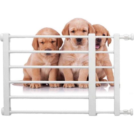 Niedriges Hundegitter, Treppengitter für Hunde, Babygitter für Hunde, Sicherheitsgitter mit geringem Sicherheitsstandard, einziehbares Gitter Weiß, 42 x 60 cm breit, 36 cm hoch (1/5)