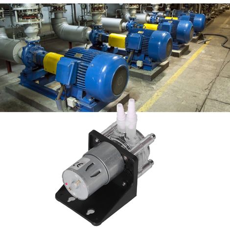Pompe doseuse péristaltique à haut débit G928, 500 mL/min, 12 V (1/5)