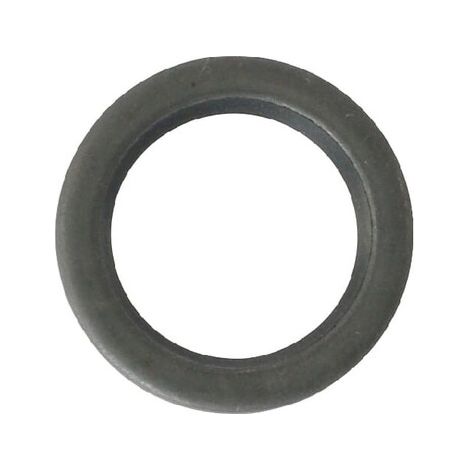 Wellendichtring AS-MOTOR E04317ASM (1/2)