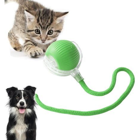 Interaktives Katzenspielzeug, elektrisches Katzenspielzeug mit Weckfunktion, geeignet für kleine und mittelgroße Hunde und Katzen (1/5)