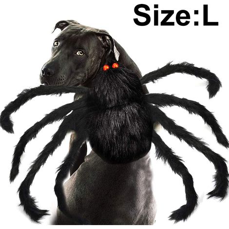 1 Déguisement araignée, 8 pattes articulées, costume Halloween, velcro ajustable, chien chat petite moyenne taille (1/5)