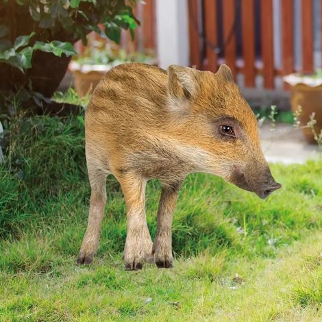 Décoration de jardin en forme de cochon, ornement 2D, figurine de cochon réaliste à planter dans le jardin, idéale pour décorer votre jardin ou votre cour.