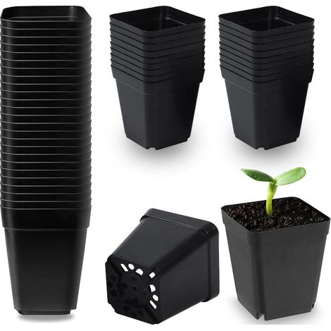 Lot de 50 pots carrés en plastique noir de 5,5 cm, pots de fleurs pour semis de plantes grasses, semis, boutures et repiquage