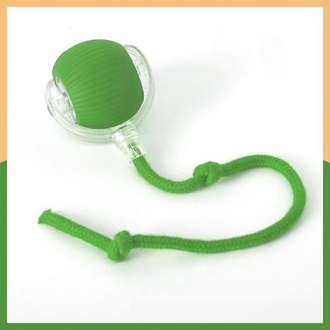 Balle anti-morsure pour chat (avec corde) - Dispositif de saut auto-divertissant vert (1/5)