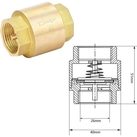 Clapet Anti Retour 3/4 Pouce en Laiton Vanne Anti Retour Verticale pour Pompes, Puits et Machines à Laver (1/3)