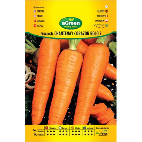 Paket mit Karottensamen Chantenay Herz Rot 2