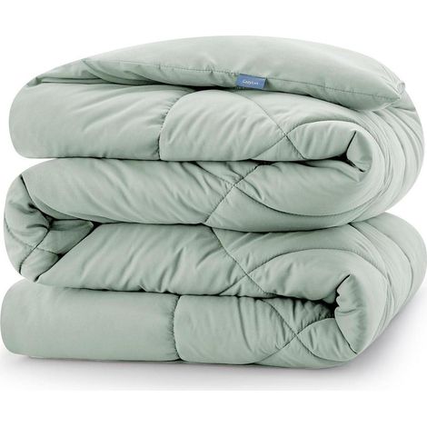 Bettdecke 240x260 Mikrofaser 300gsm 4Jahreszeiten 240 x 260 cm Grün (1/5)