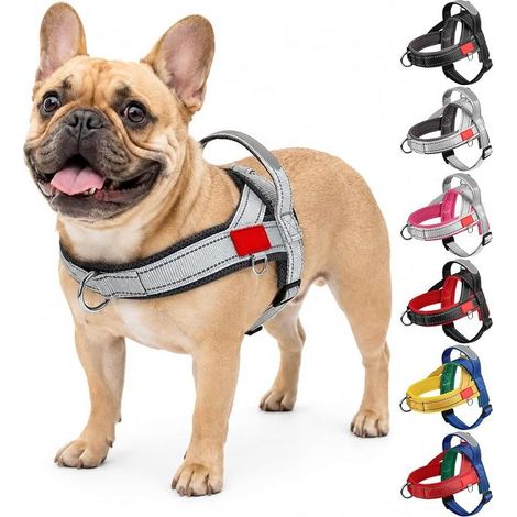 Medium and Large Dog Harness, Puppy Harness for Dogs with Attachment and Control Handle, Breathable Vest (Grey, M) (1/5)