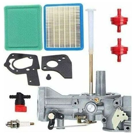 Carburateur de rechange pour moteurs Briggs & Stratton – Compatible avec modèles 5HP – Kit complet avec joints et filtres (1/5)