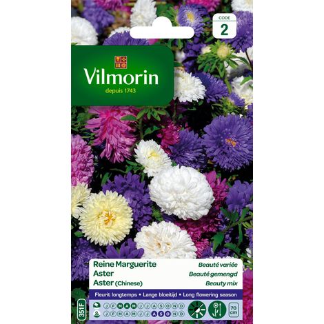 Vilmorin 5703442 Margherite, Multicolore, 90 x 2 x 160 cm