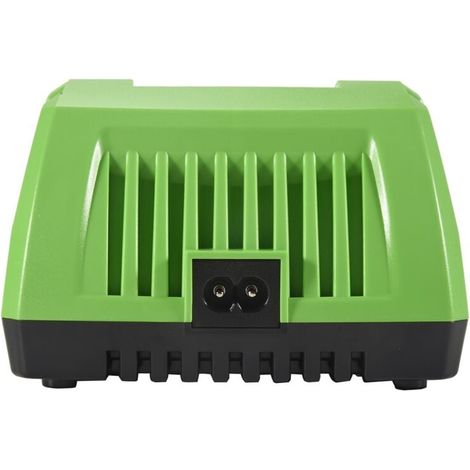 Chargeur de Batterie au Lithium 40V pour GreenWorks 29482 G-MAX Li-Ion 29472 29652 G40825 Prise EuropéEnne (1/4)