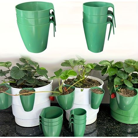 10 pots de multiplication pour fraises, destinés à la culture en serre, pots pour semis, pots de repiquage, dispositif aéré pour boutures, dispositif d'enracinement des tiges de fraises (1/5)