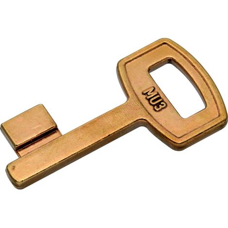 Ebauche de clé type Muel MU3 (sachet de 10) HERACLES MU3