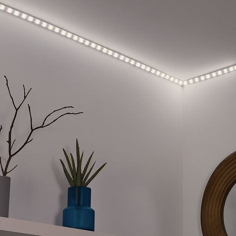 Striscia LED 24V Striscia LED dimmerabile Striscia LED autoadesiva, interruttore, trasformatore incluso, 50W 5500Lm 4000K, L 500 cm (1/5)