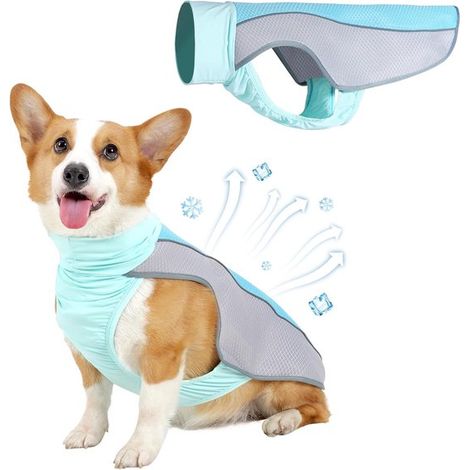 Gilet rinfrescante per cani, giacca rinfrescante per cani, gilet rinfrescante per cani, protezione UV SPF 50, taglia S, rinfresca i cani, leggero, indispensabile per le attività estive all'aperto. (1/5)