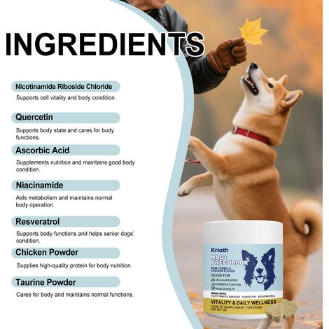 Comprimés à croquer Gentle Care pour chiens, apportant un complément nutritionnel quotidien. Convient à toutes les races. -- 200 g (1/5)