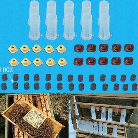 Kit complet d'élevage de reines avec système de collecte apicole (kit cCup) - AquaForge (1/5)
