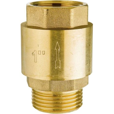 Clapet Anti-Retour Laiton 1 Pouce Entrée Sortie Fileté pour Conduites Eau Compteurs Chauffe-Eau (1/4)