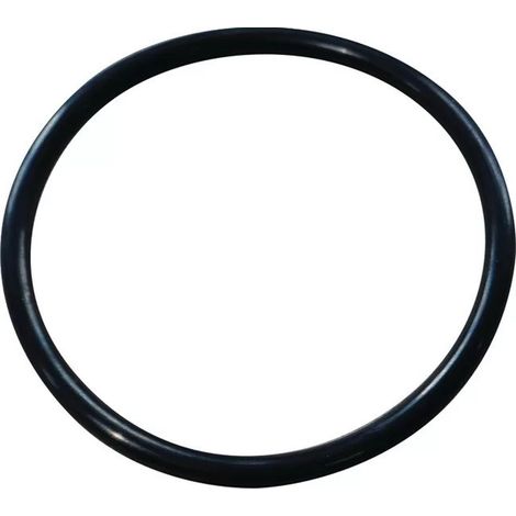 O-Ring für WIRQUIN Unterputzspülkasten 54.5x3mm