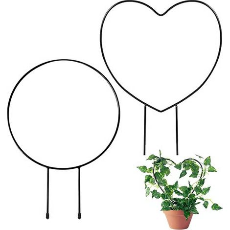 Lot de 2 supports métalliques pour plantes d'intérieur, supports pour plantes grimpantes, supports pour plantes en pot (1/5)