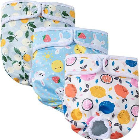 Washable Female Dog Diapers, Incontinence Panties, Menstrual Panties, Reusable Hygienic Panties Absorbent (1/3)