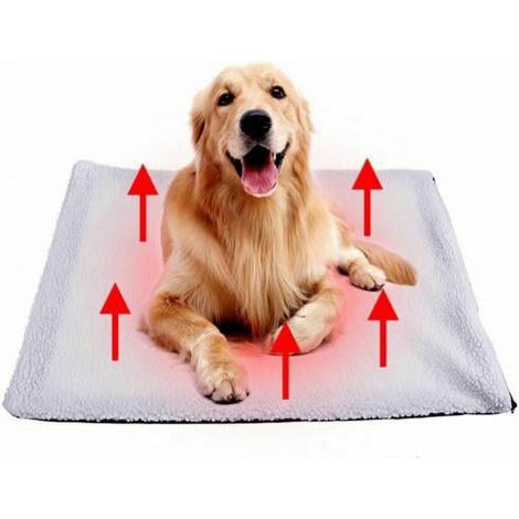 Tapis Autochauffant Pour Animaux - Coussin Réfléchissant Sans Électricité - Tapis Thermique Pour Chien Et Chat - Dimensions 60 x 45 cm - Blanc - 1 Pièce (1/5)
