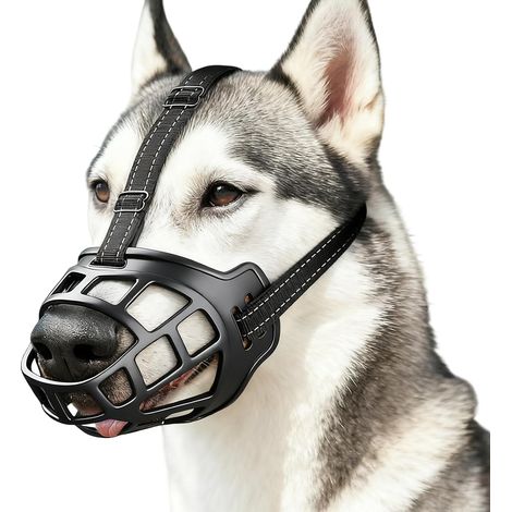 Breathable Training Muzzle for Dogs, Anti Barking Muzzle with Adjustable Straps, Comfortable Design, for Small, Medium and Large Dogs, Size 5 (1/5)