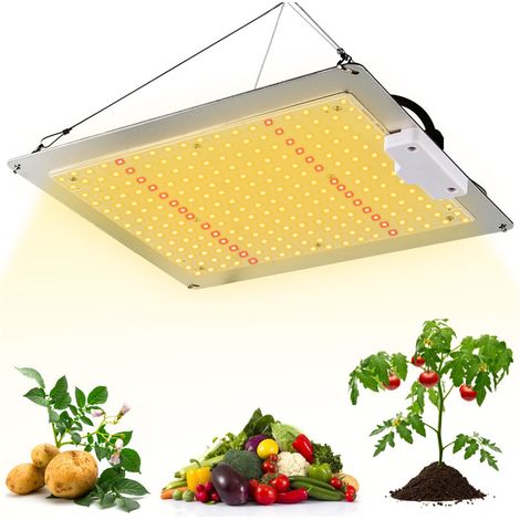 Lampe de croissance LED à spectre complet pour plantes succulentes, éclairage d'appoint pour plantation de fleurs et plantes d'intérieur (1/5)