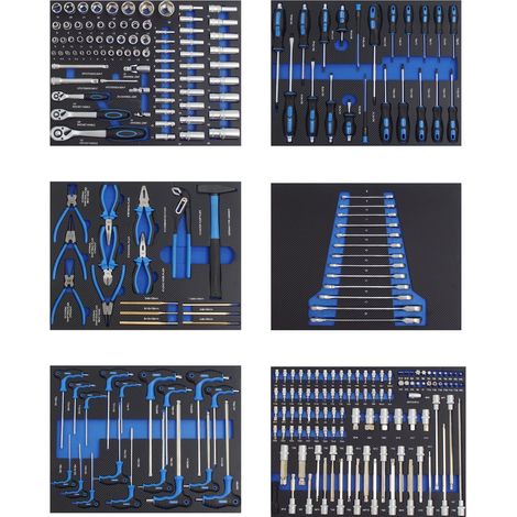 Profi Werkzeugeinlagen 520x400mm für Werkstattwagen Chrom Vanadium Stahl Werkzeugset 250 tlg. Blau (1/5)