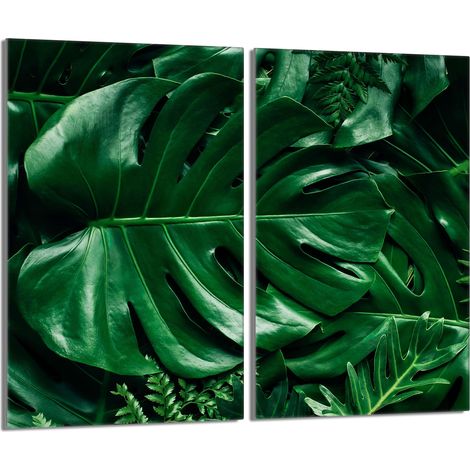 Protezione per piano cottura in vetro 2x30x52 Monstera (1/5)