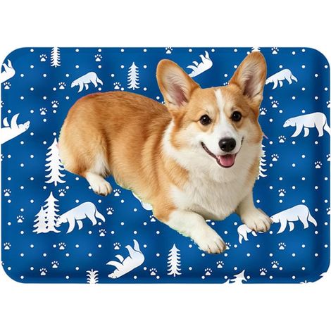 Tapis Rafraîchissant Animaux Pliable Portable Respirant Tapis de Couchage pour Chien et Coussin de Niche pour Chatons, Chiots, Été, Temps Chaud, Cage, Sol, Canapé, Plage, , Balcon (1/5)